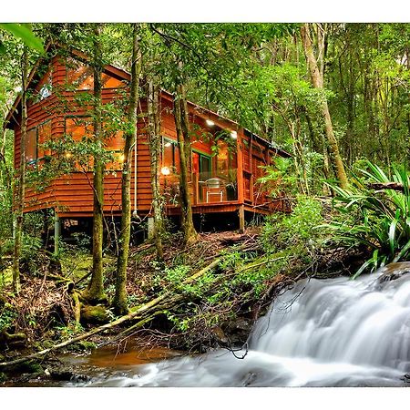 The Mouses House Rainforest Retreat Springbrook Extérieur photo