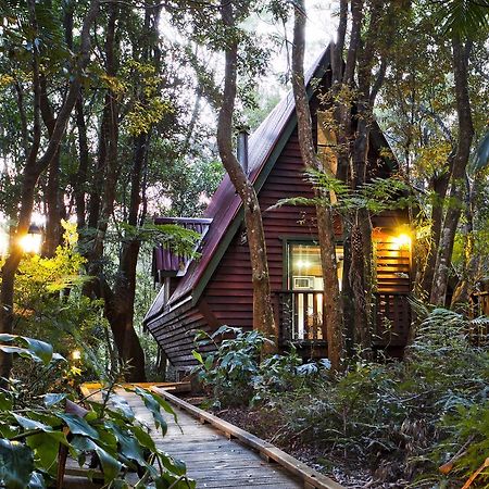 The Mouses House Rainforest Retreat Springbrook Extérieur photo