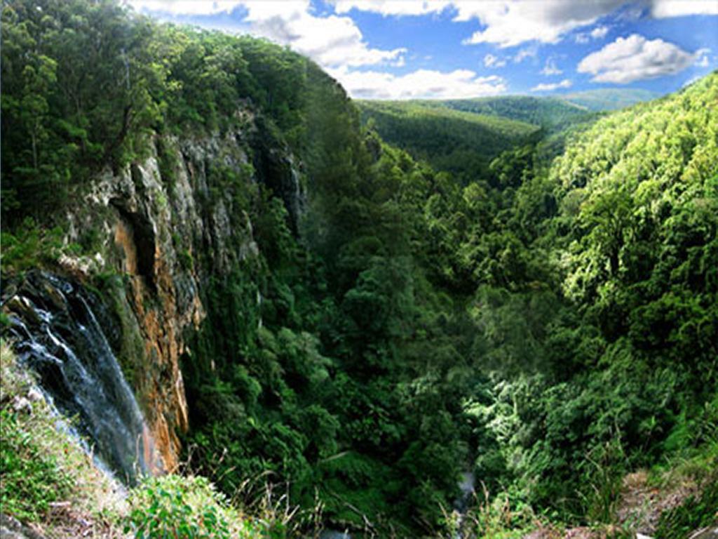 The Mouses House Rainforest Retreat Springbrook Extérieur photo