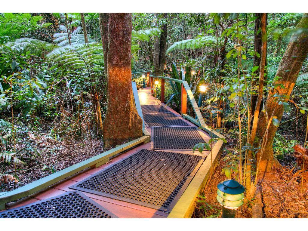 The Mouses House Rainforest Retreat Springbrook Extérieur photo