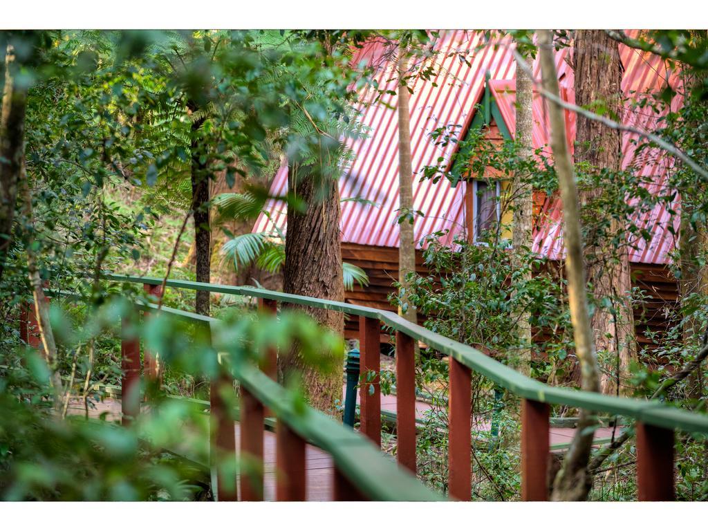 The Mouses House Rainforest Retreat Springbrook Extérieur photo