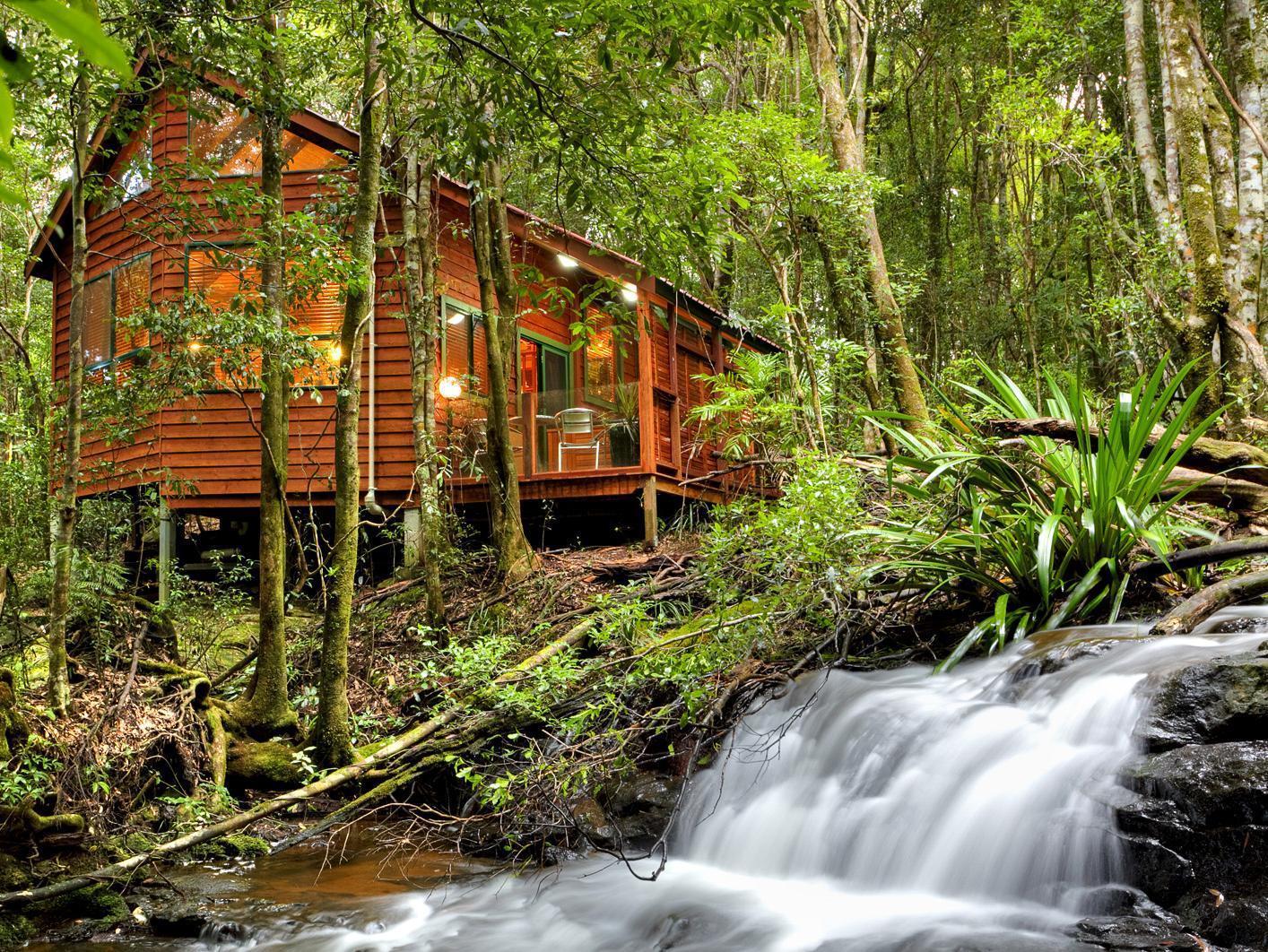 The Mouses House Rainforest Retreat Springbrook Extérieur photo