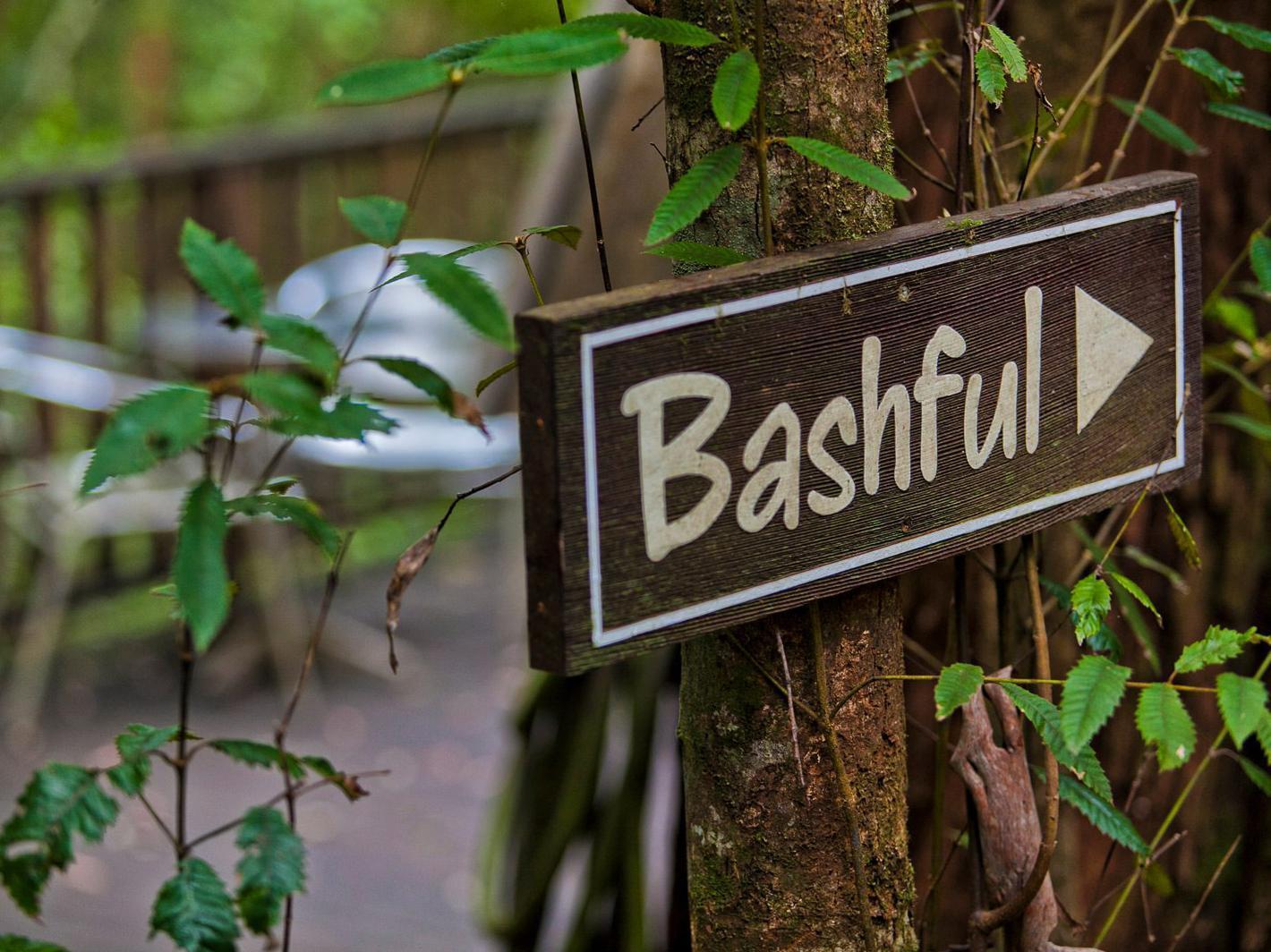 The Mouses House Rainforest Retreat Springbrook Extérieur photo