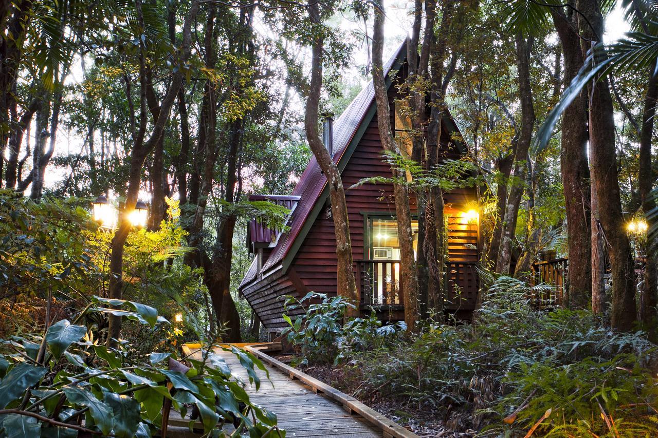 The Mouses House Rainforest Retreat Springbrook Extérieur photo