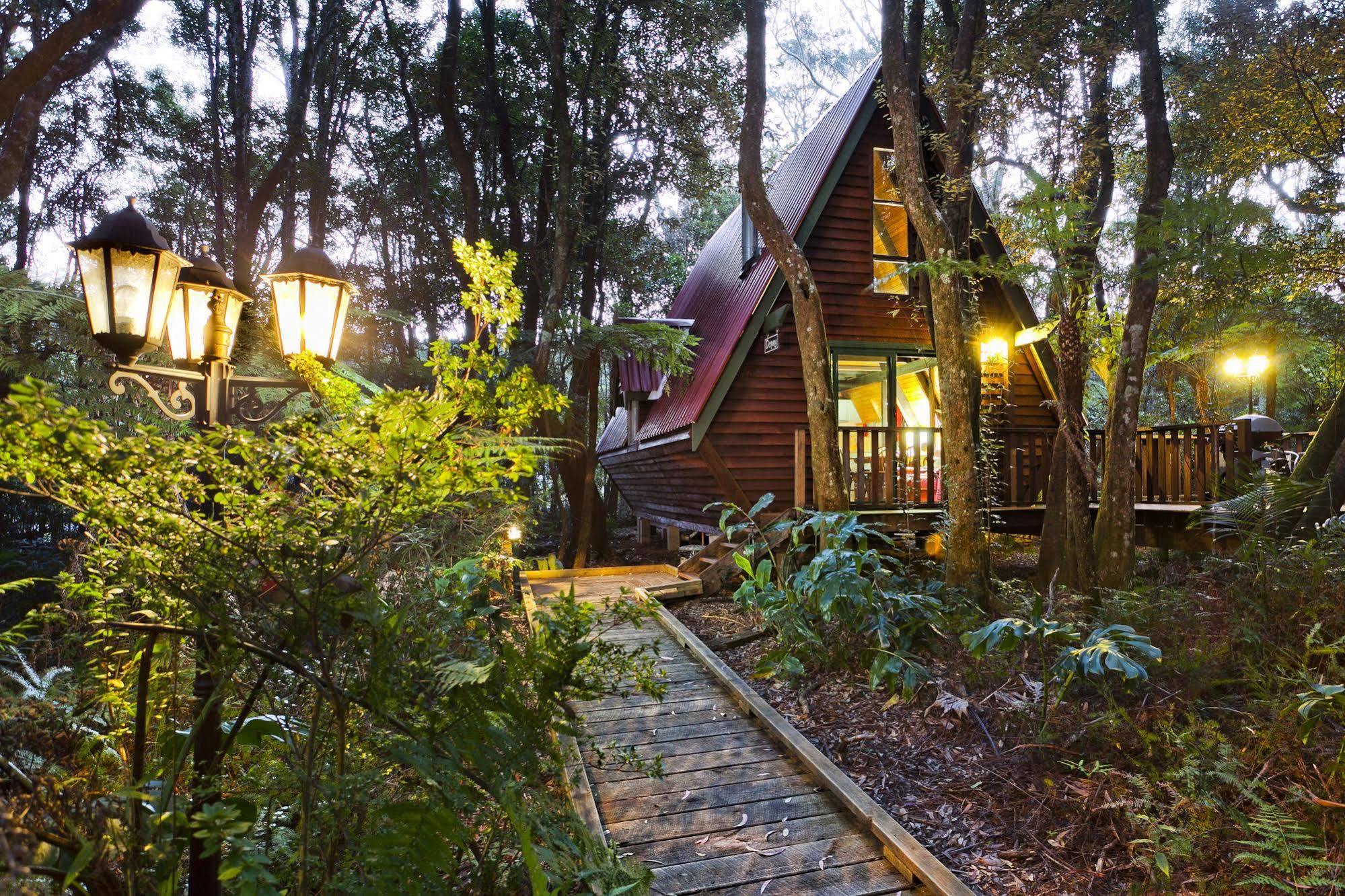 The Mouses House Rainforest Retreat Springbrook Extérieur photo