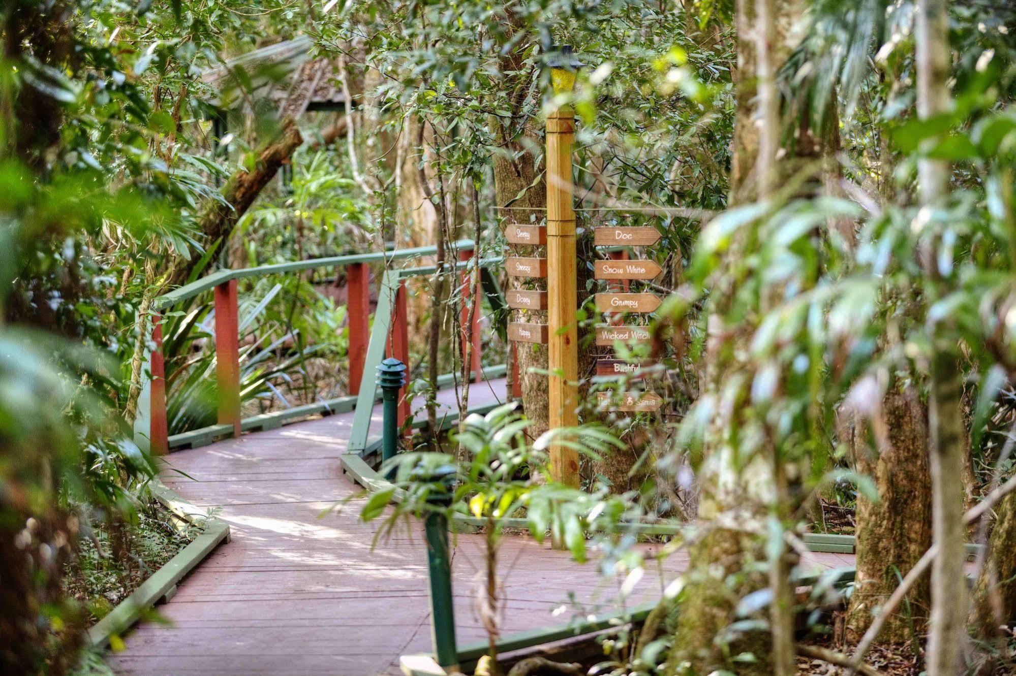 The Mouses House Rainforest Retreat Springbrook Extérieur photo
