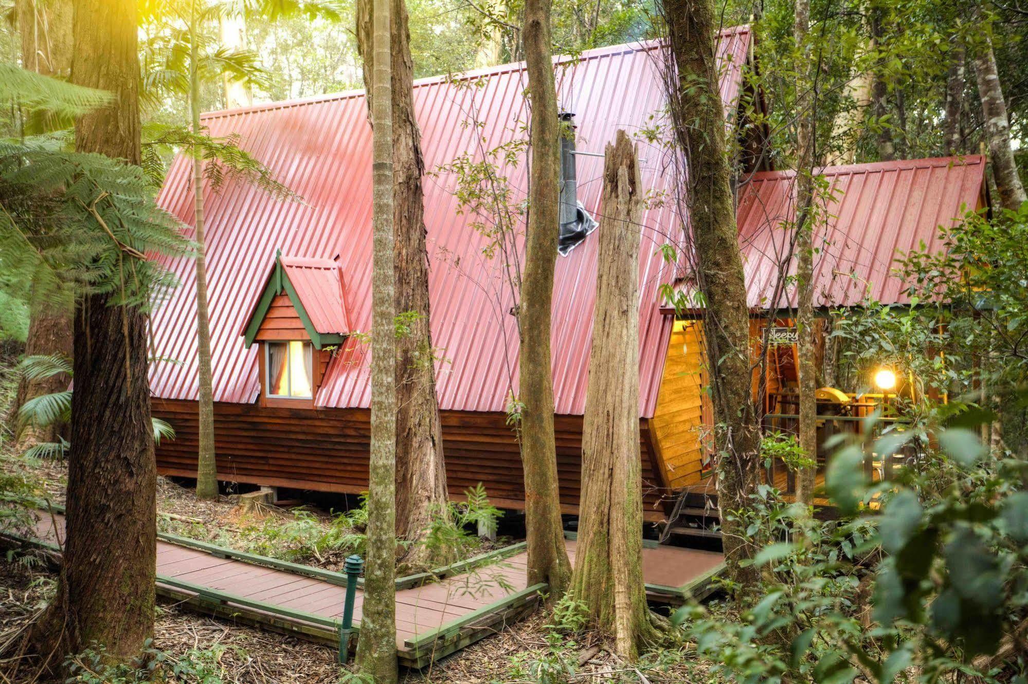 The Mouses House Rainforest Retreat Springbrook Extérieur photo