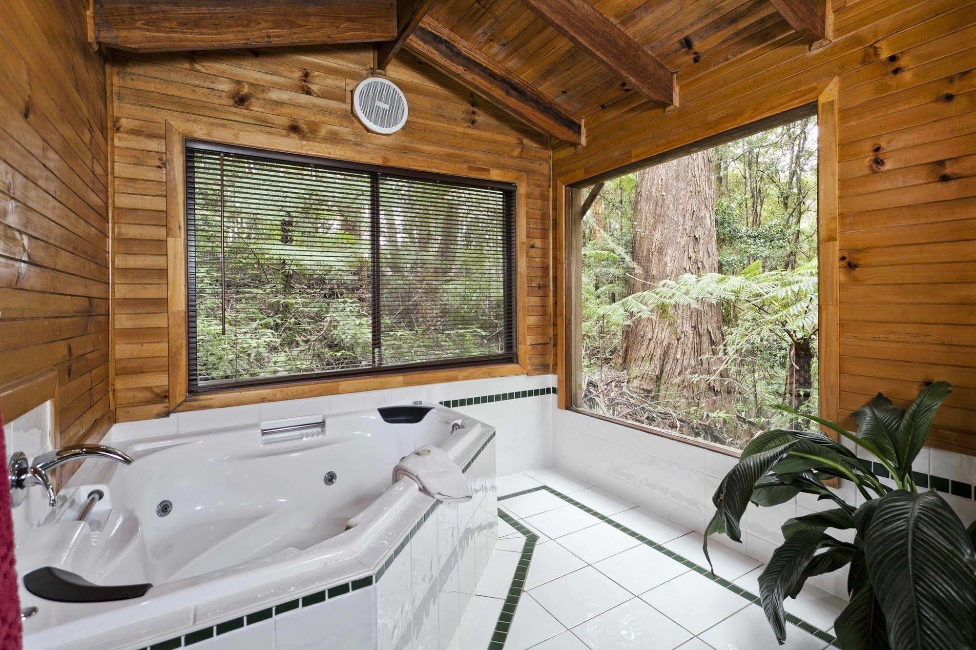 The Mouses House Rainforest Retreat Springbrook Extérieur photo