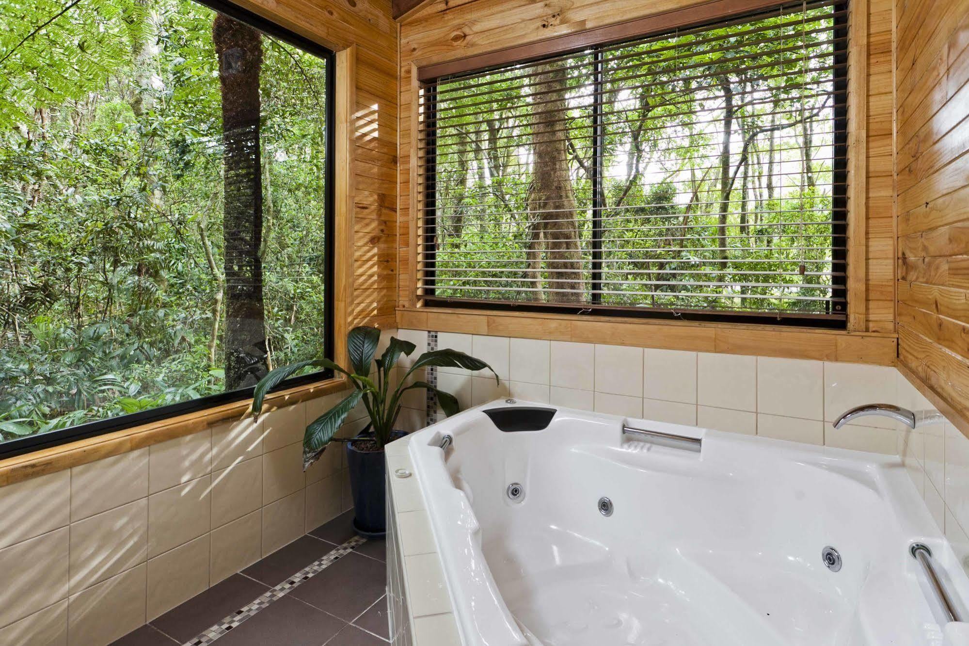 The Mouses House Rainforest Retreat Springbrook Extérieur photo