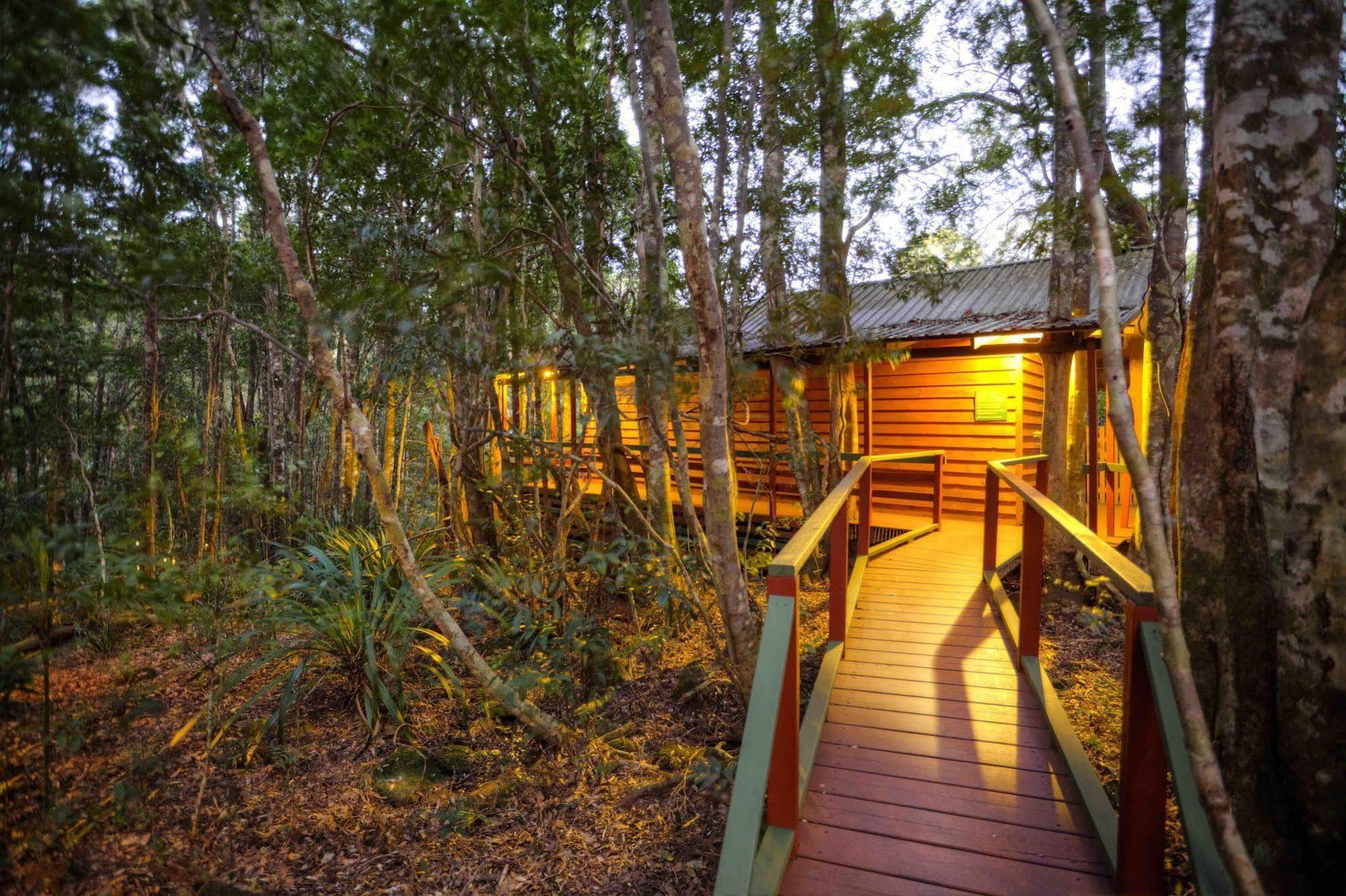 The Mouses House Rainforest Retreat Springbrook Extérieur photo